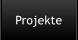 Projekte